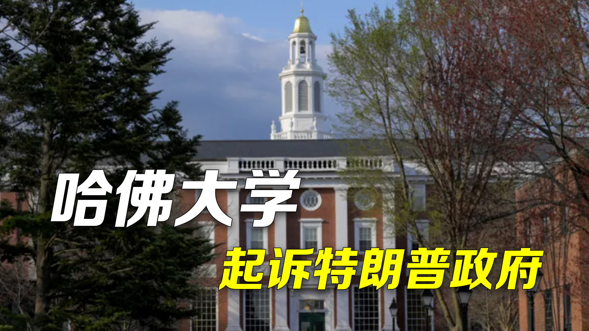 数十亿美元联邦资金遭冻结 哈佛大学起诉特朗普政府 校长：政府已经非法越权！