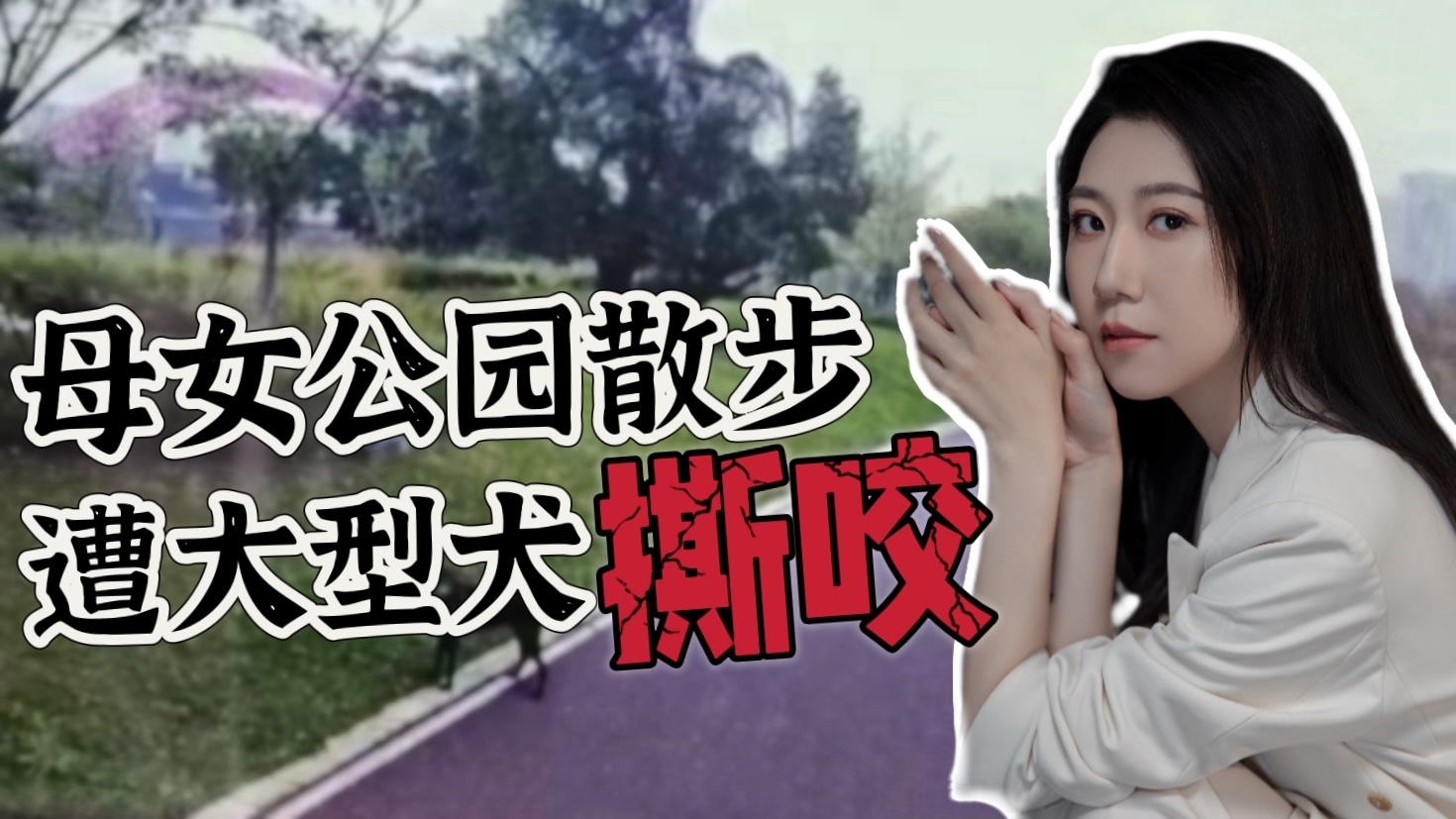 飞来横祸！母女公园散步 遭大型犬撕咬