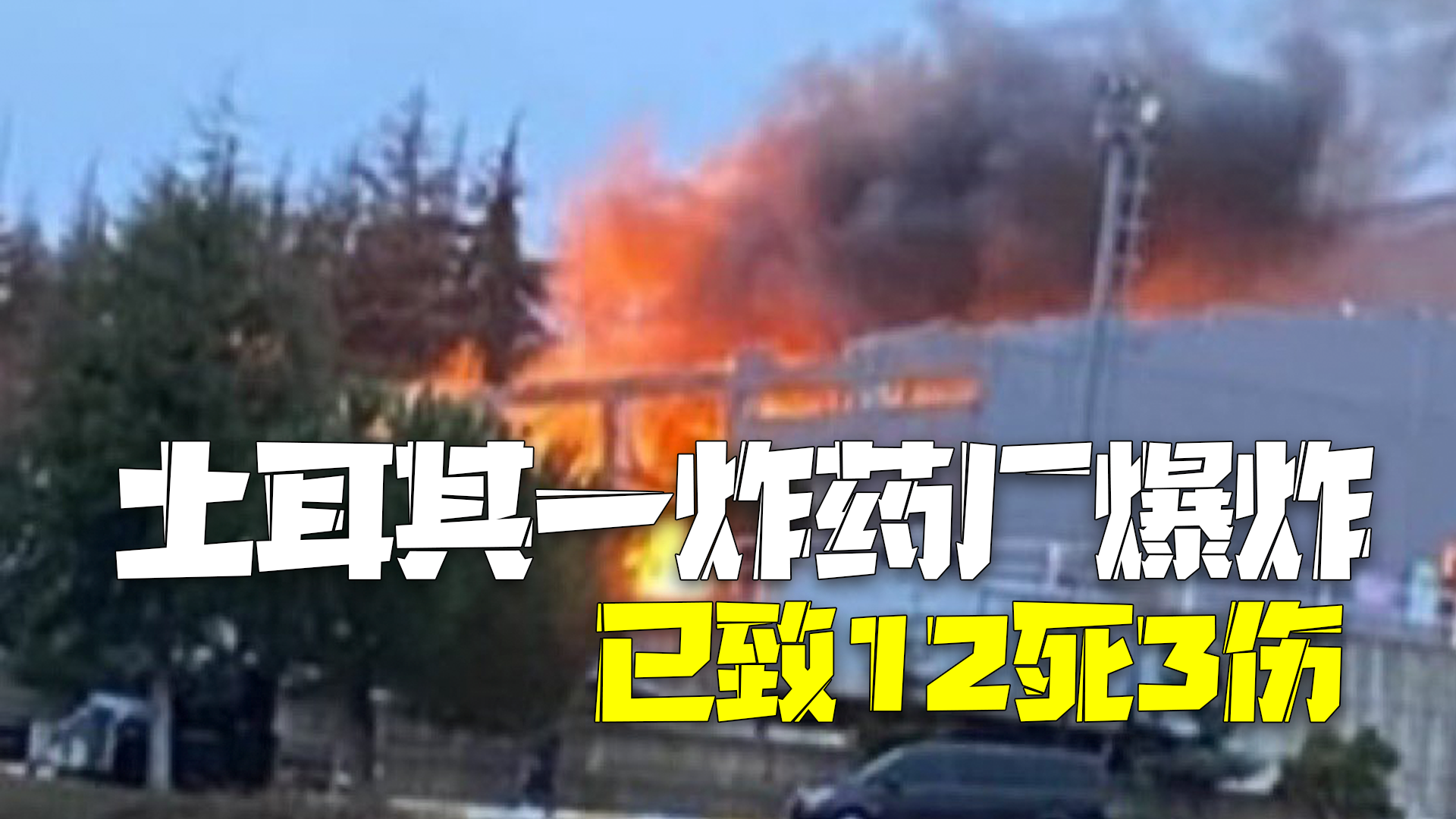 土耳其一炸药厂爆炸已致12人死亡3人受伤