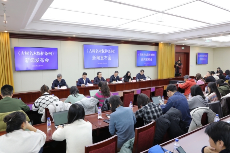 《古树名木保护条例》3月15日起施行 《古树名木保护条例》3月15日起施行