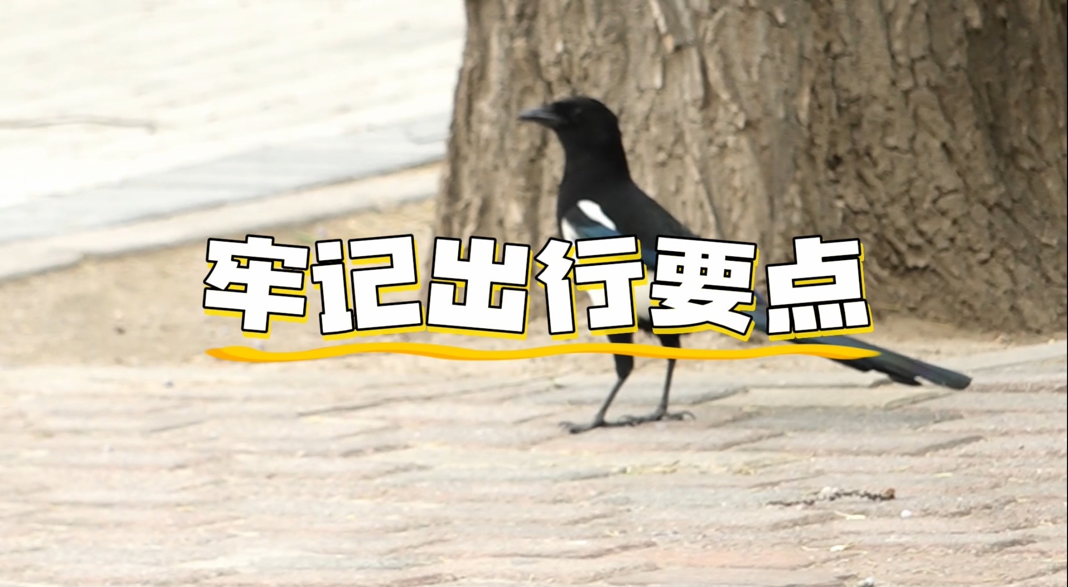 谷雨时节晴暖为主 出行牢记三项提示