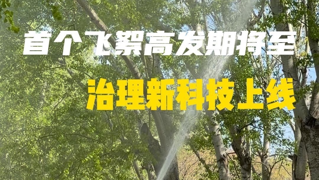 首个飞絮高发期将至！今年治理上了新科技