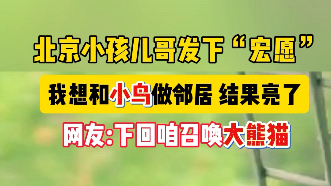 北京小孩儿哥发下“宏愿”：我想和小鸟做邻居！结果亮了。网友说：下回召唤大熊猫！