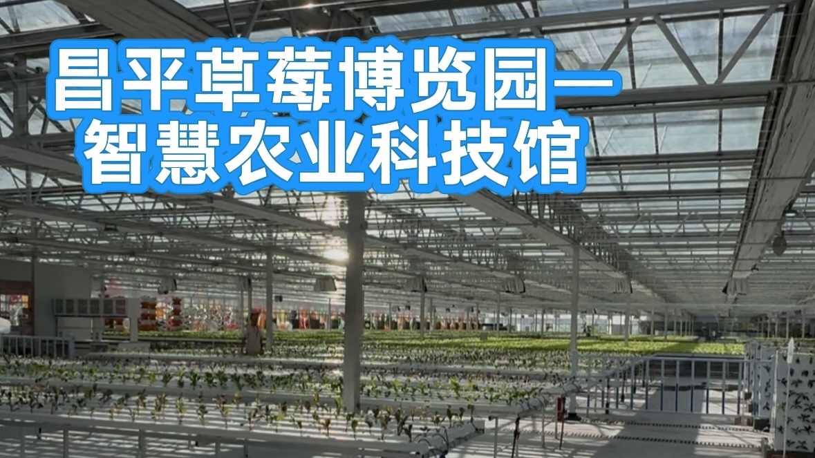 在昌平草莓博览园一起探索农业黑科技！