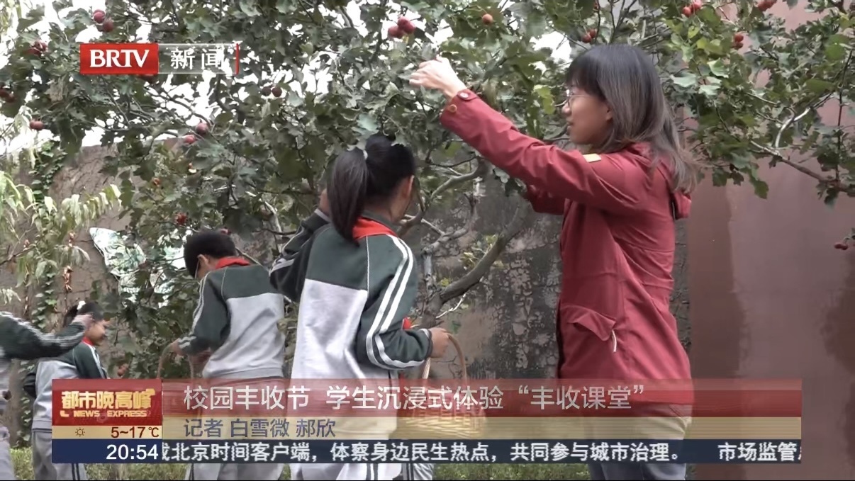 校园丰收节 学生沉浸式体验“丰收课堂”