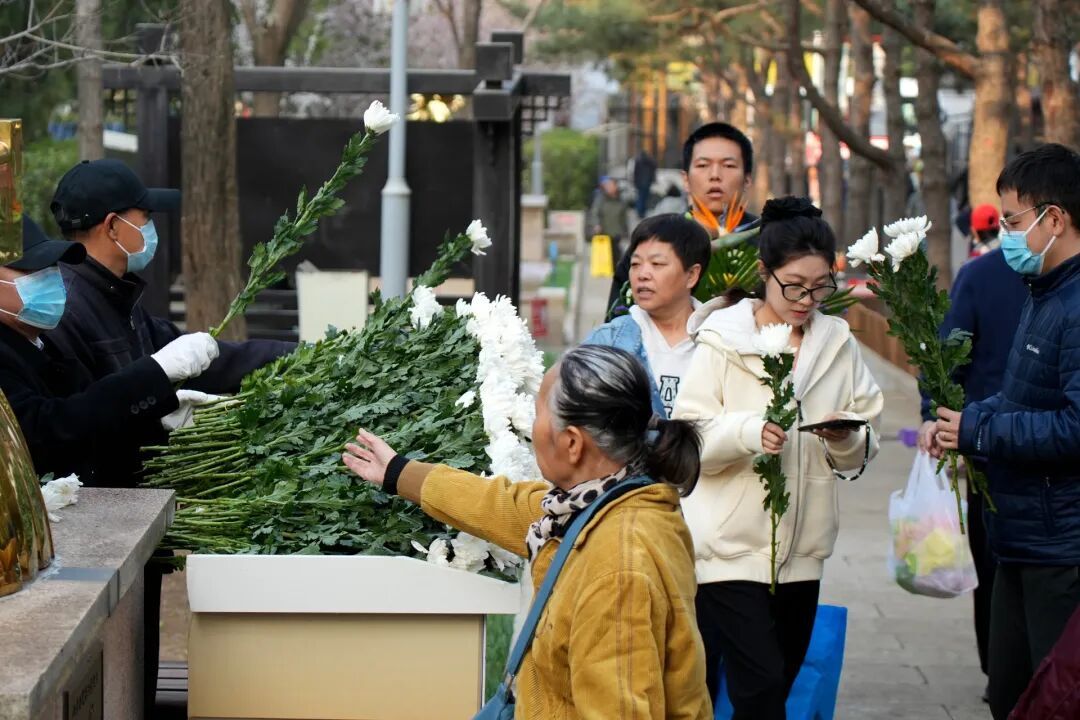 北京今日春雨夜，已是祭扫思亲时
