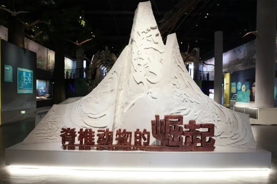 国家自然博物馆“脊椎动物的崛起”展厅14号开放 国家自然博物馆“脊椎动物的崛起”展厅14号开放