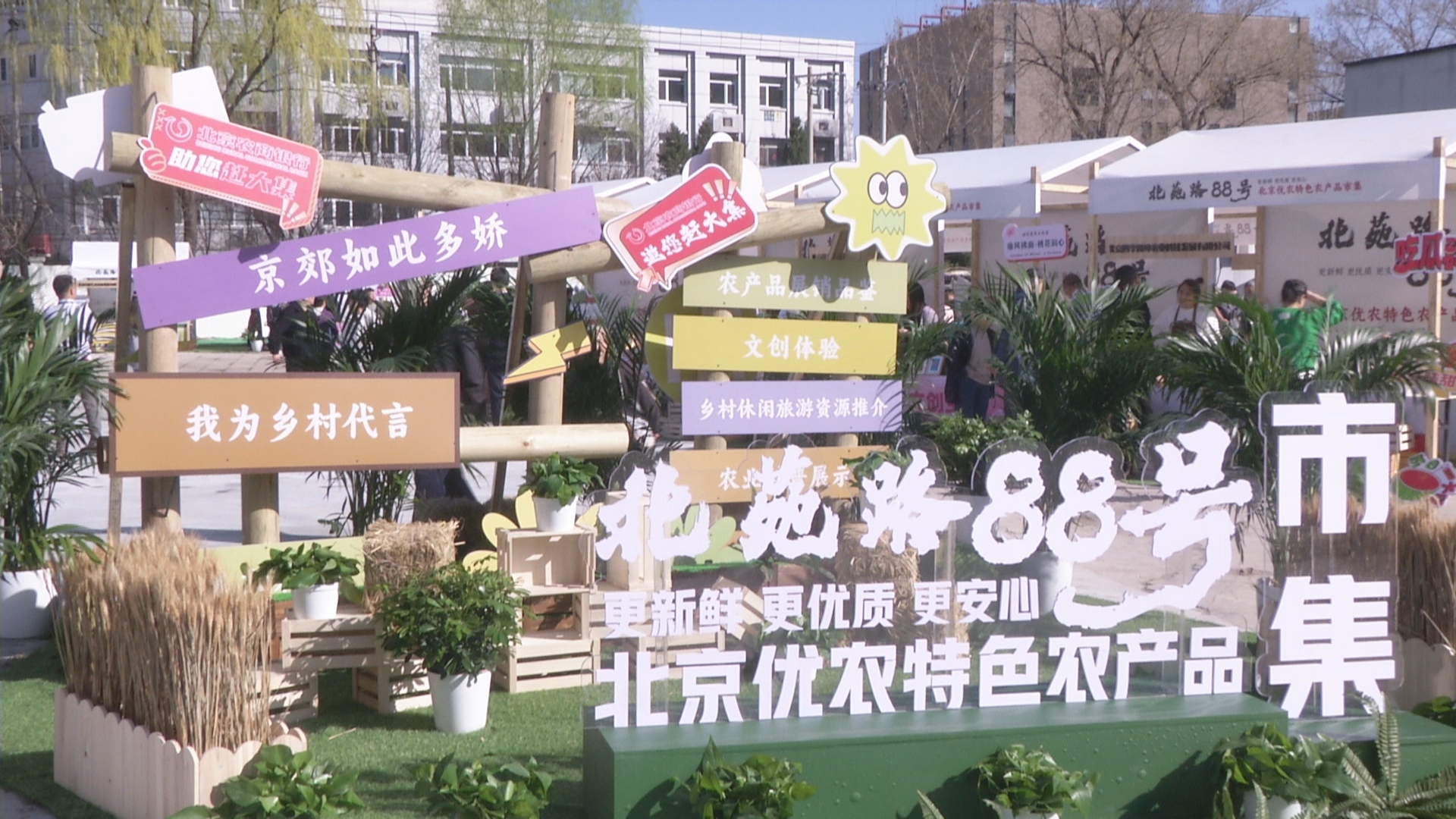 “北苑路88号”正式开集!周六来这里买当日农产品 “北苑路88号”正式开集!周六来这里买当日农产品