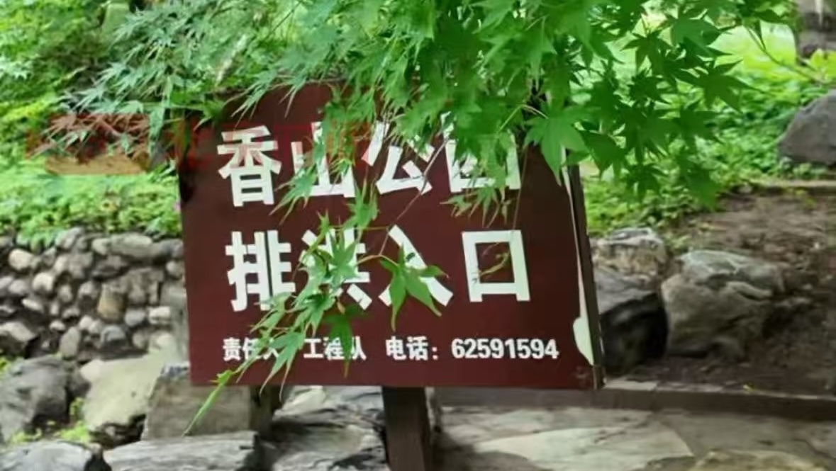守护民众安全 保护香山古树！香山公园启动一级防汛措施
