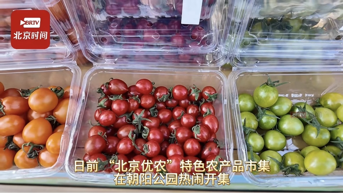 2026密云西红柿品鉴季活动亮相朝阳公园 2026密云西红柿品鉴季活动亮相朝阳公园