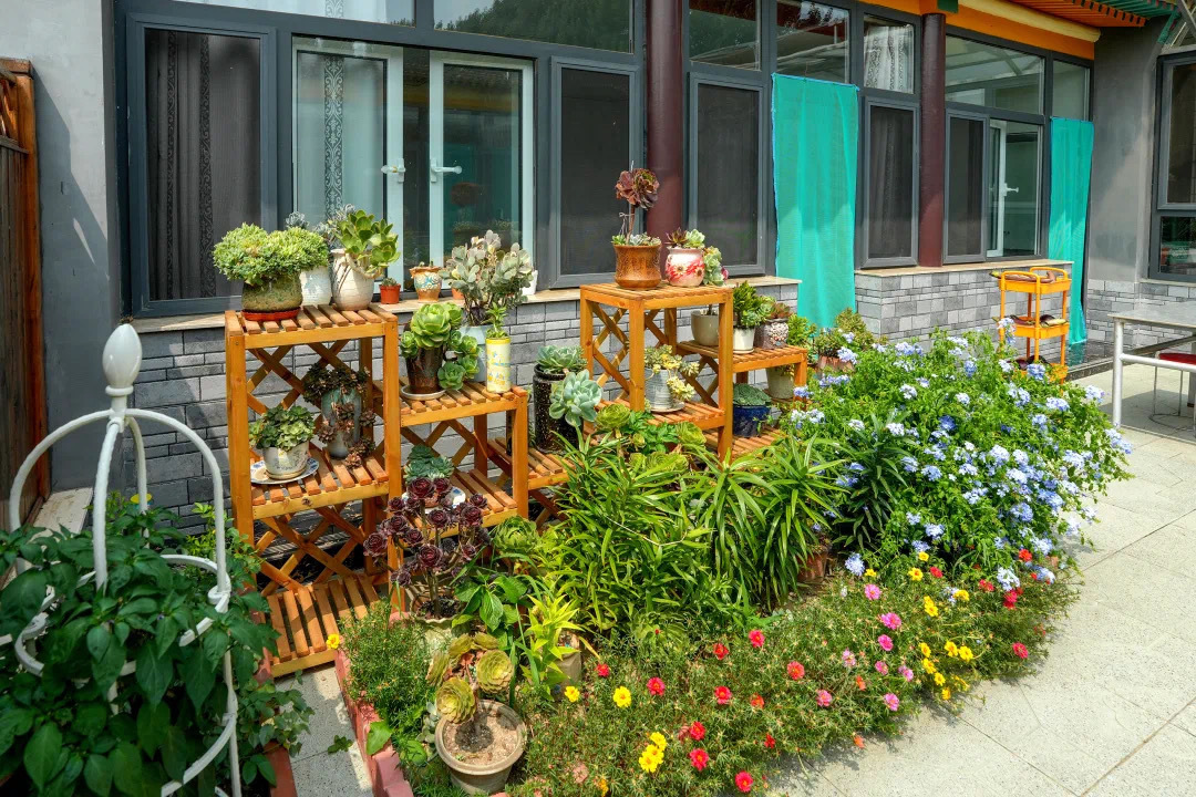 试点建设花园乡村,大兴这两个村被选中! 试点建设花园乡村,大兴这两个村被选中!