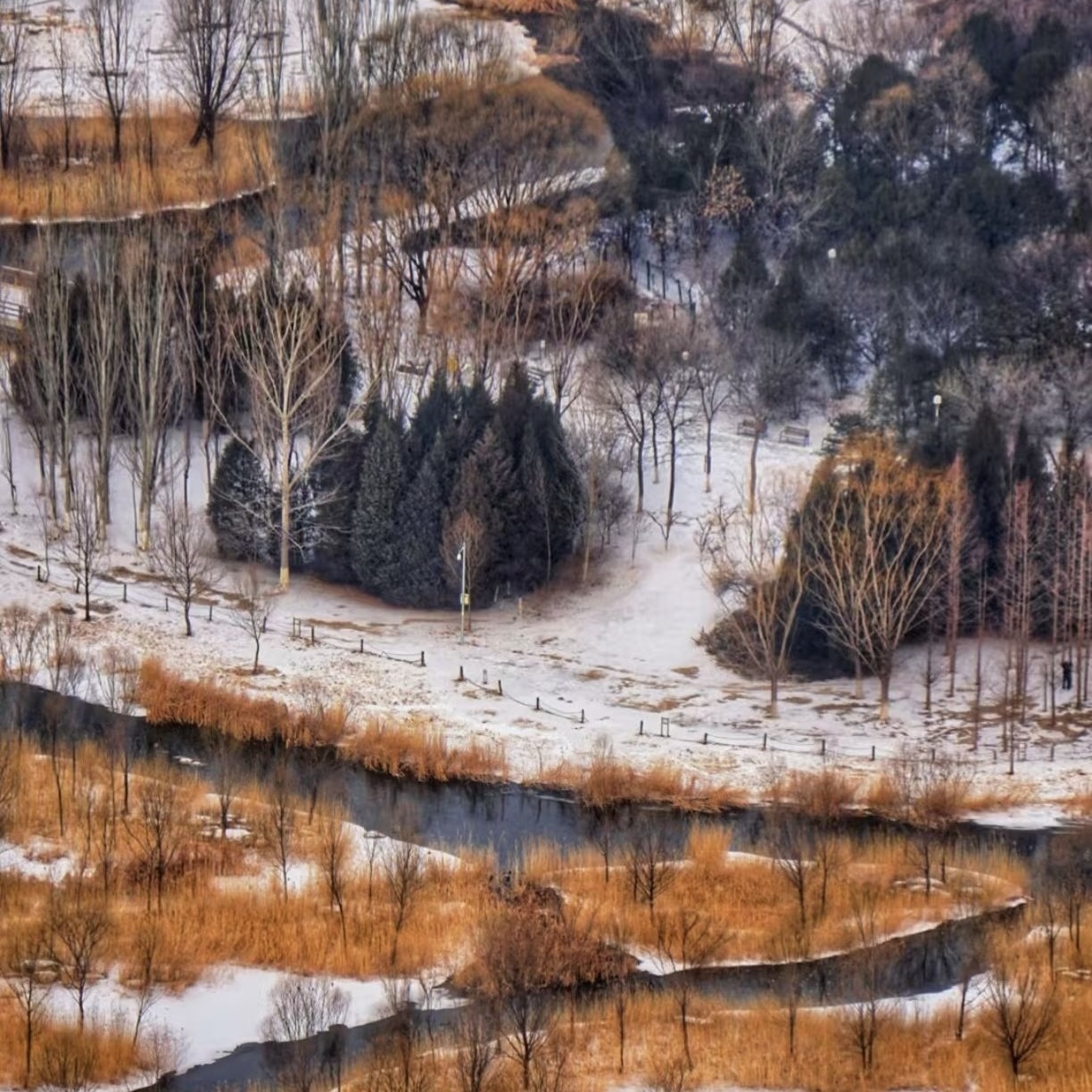 最高气温4℃ 小回暖 周日再迎降雪降温