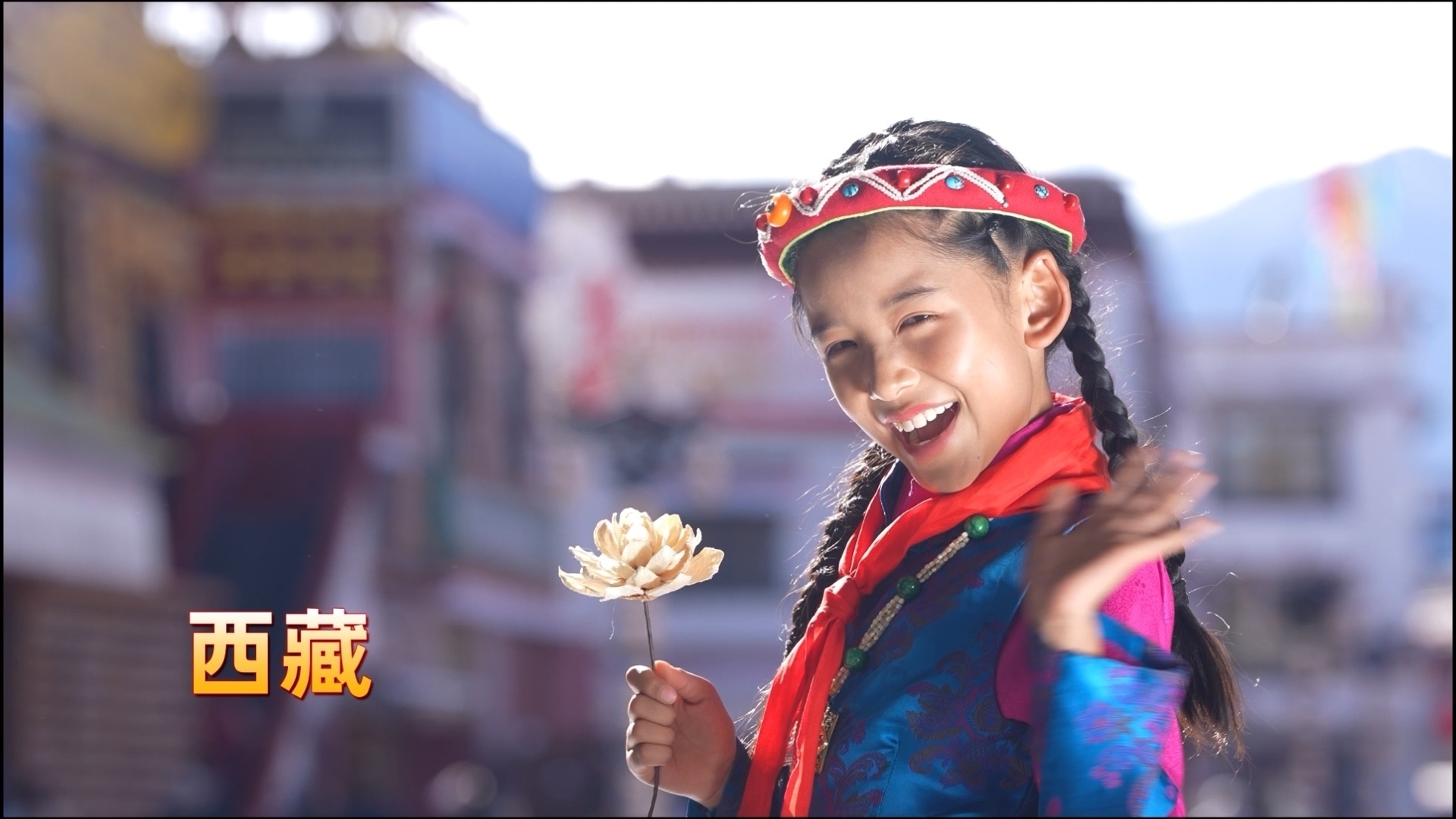 我们是高原的雪莲花！