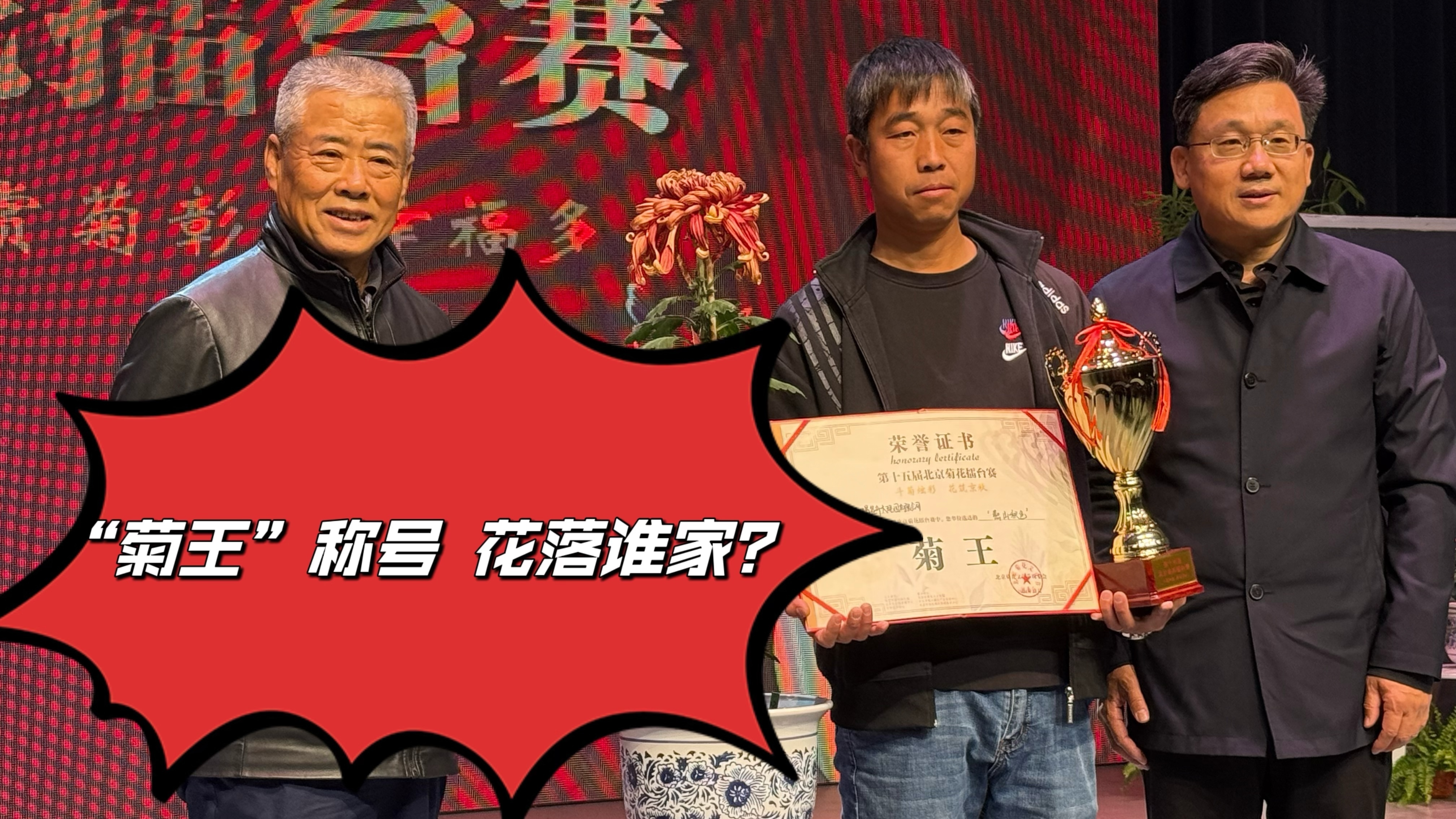 老北京传统“斗菊”来袭!“菊王”称号花落谁家? 老北京传统“斗菊”来袭!“菊王”称号花落谁家?