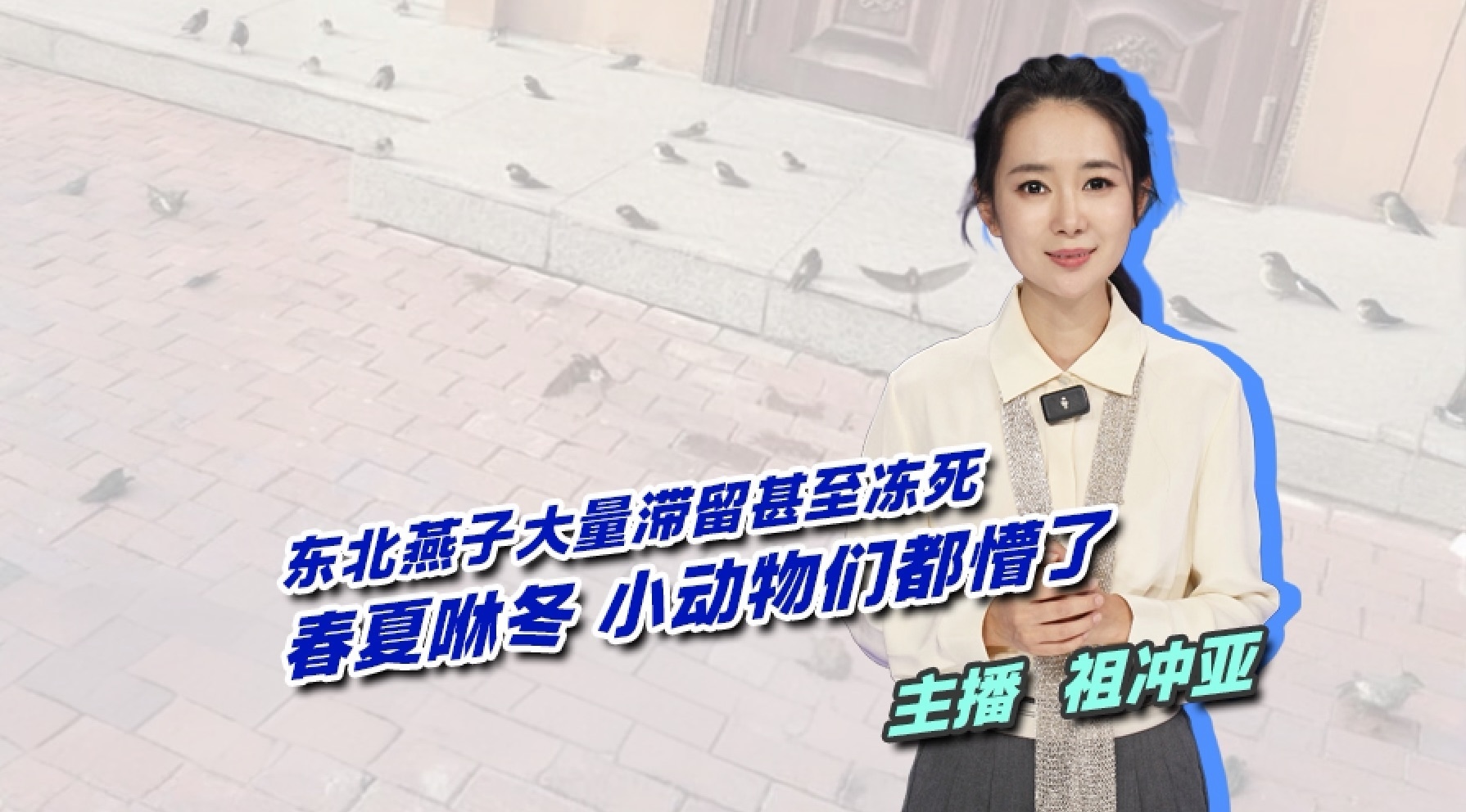 春夏咻冬，小动物们都懵了：这是给我们敲响了自然系统紊乱的警钟！