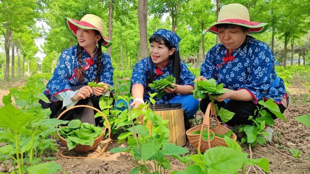 北京房山:德润“心”房 | 用桑叶编织乡村振兴的绿色梦想 北京房山:德润“心”房 | 用桑叶编织乡村振兴的绿色梦想