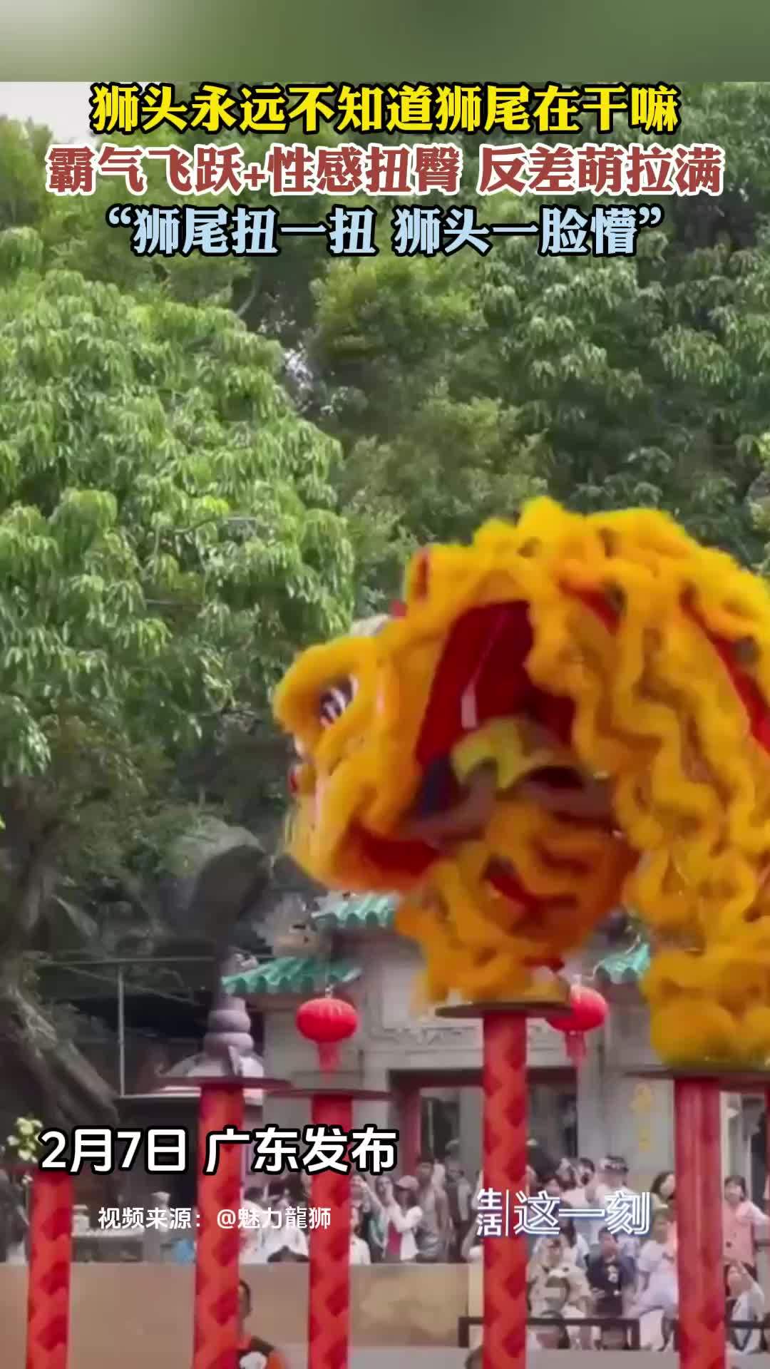 狮头永远不知道狮尾在干什么