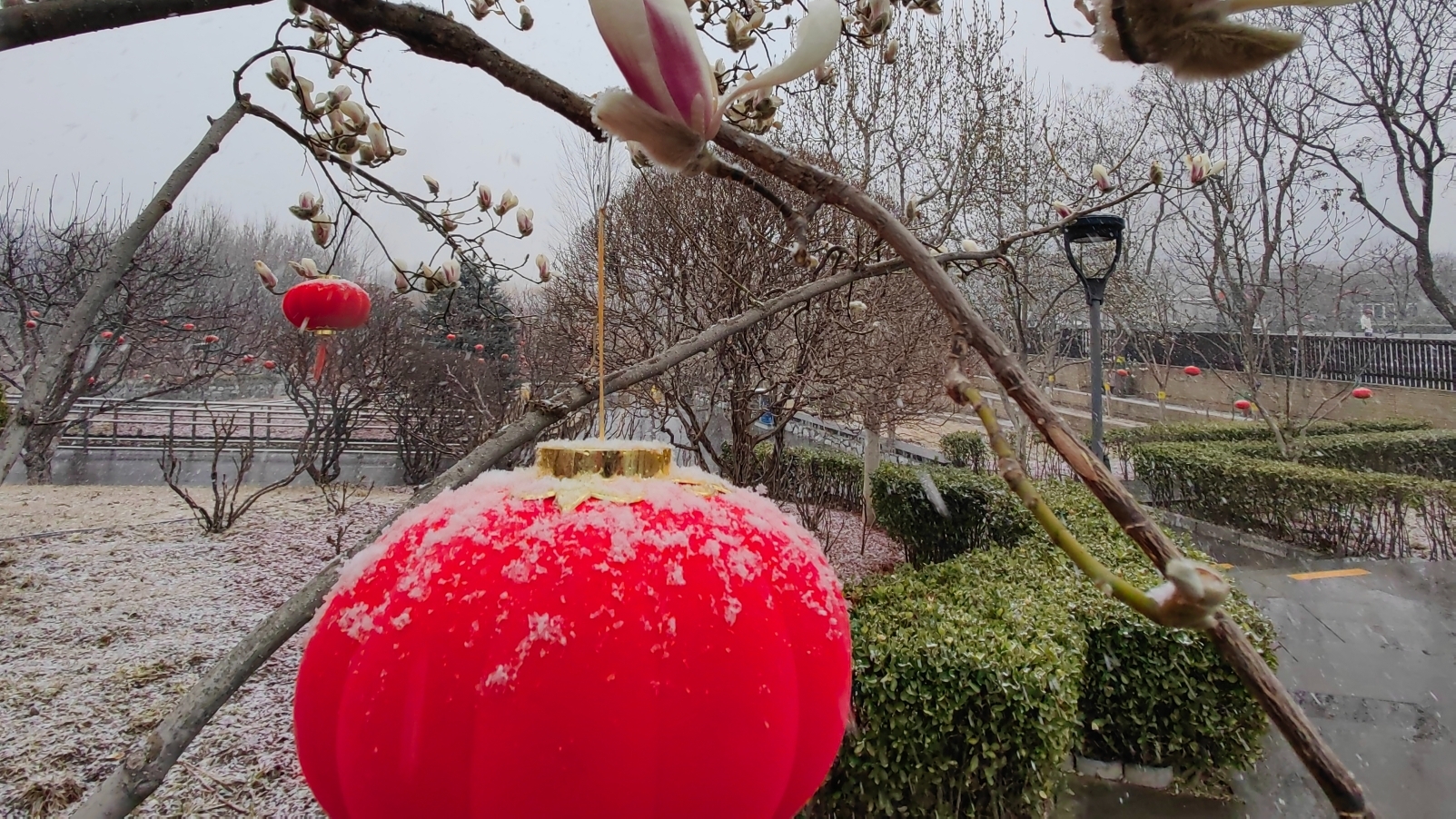 北京这场雪为啥这么大?近期还有冷空气影响吗?专家这样说 北京这场雪为啥这么大?近期还有冷空气影响吗?专家这样说