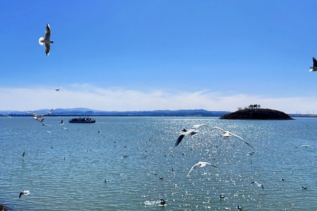 坐高铁去看沙海，新线直达！