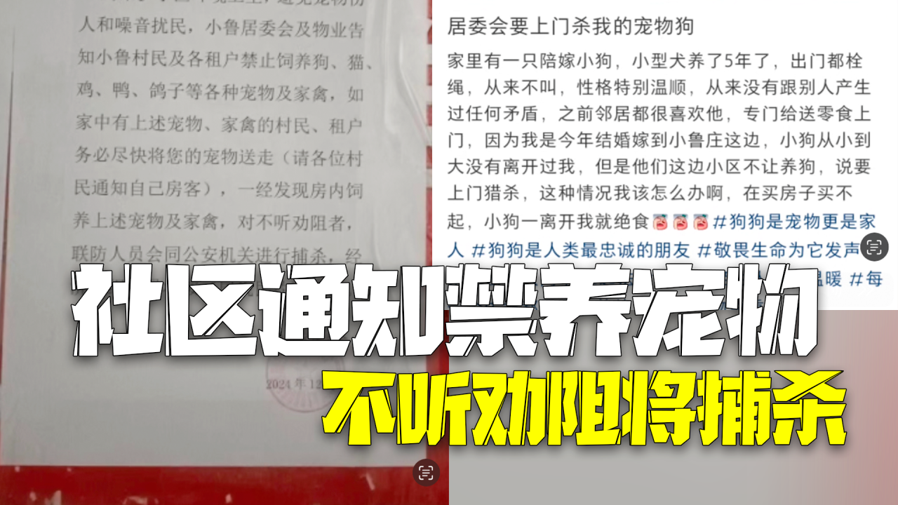 社区通知禁养宠物不听劝阻将捕杀 街道办：措辞不当，已撤下