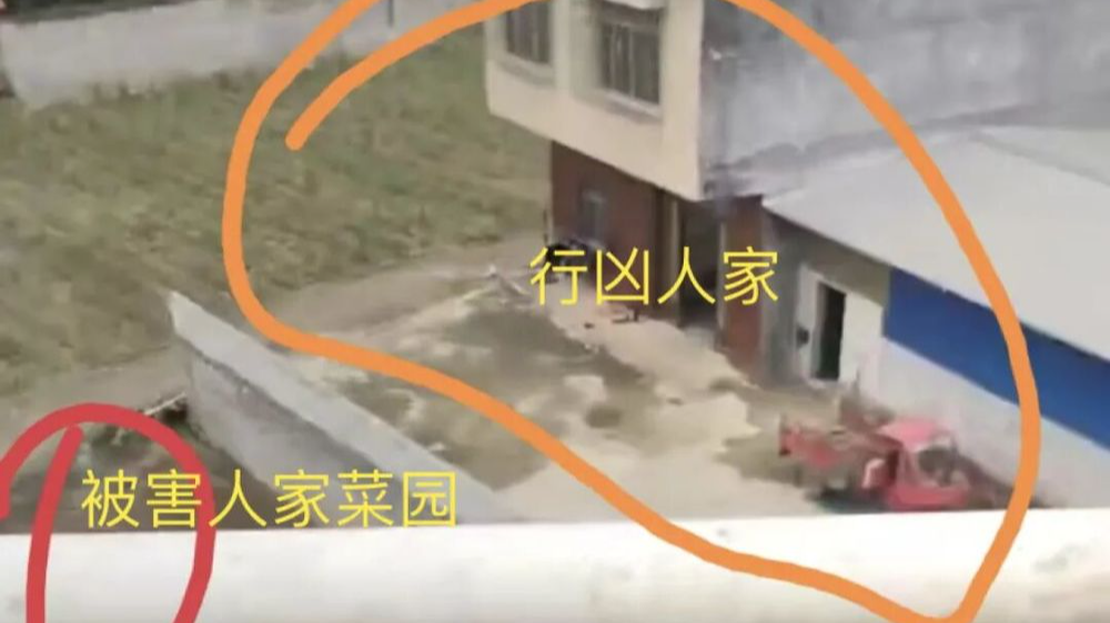 男子改装射钉枪射杀邻居夫妇案二审宣判，改判死刑