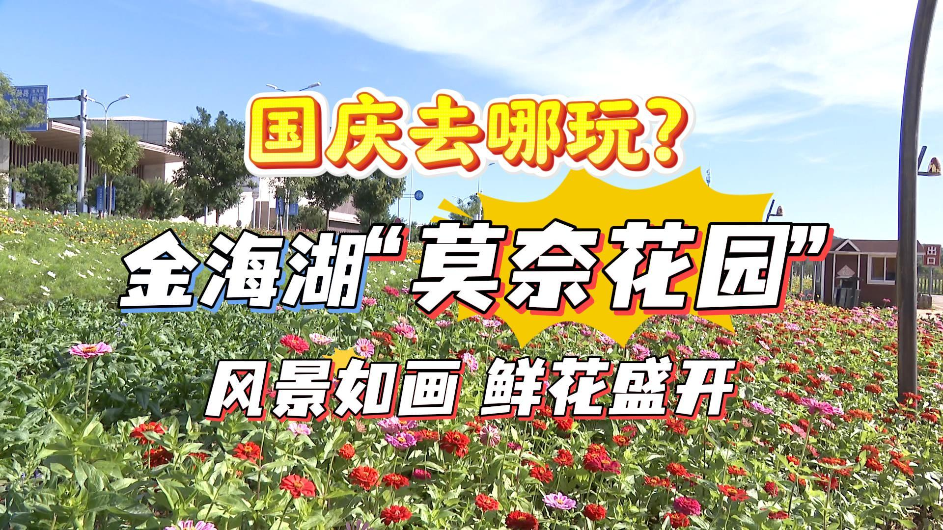 国庆去哪玩？ 金海湖“莫奈花园”风景如画，鲜花盛开！