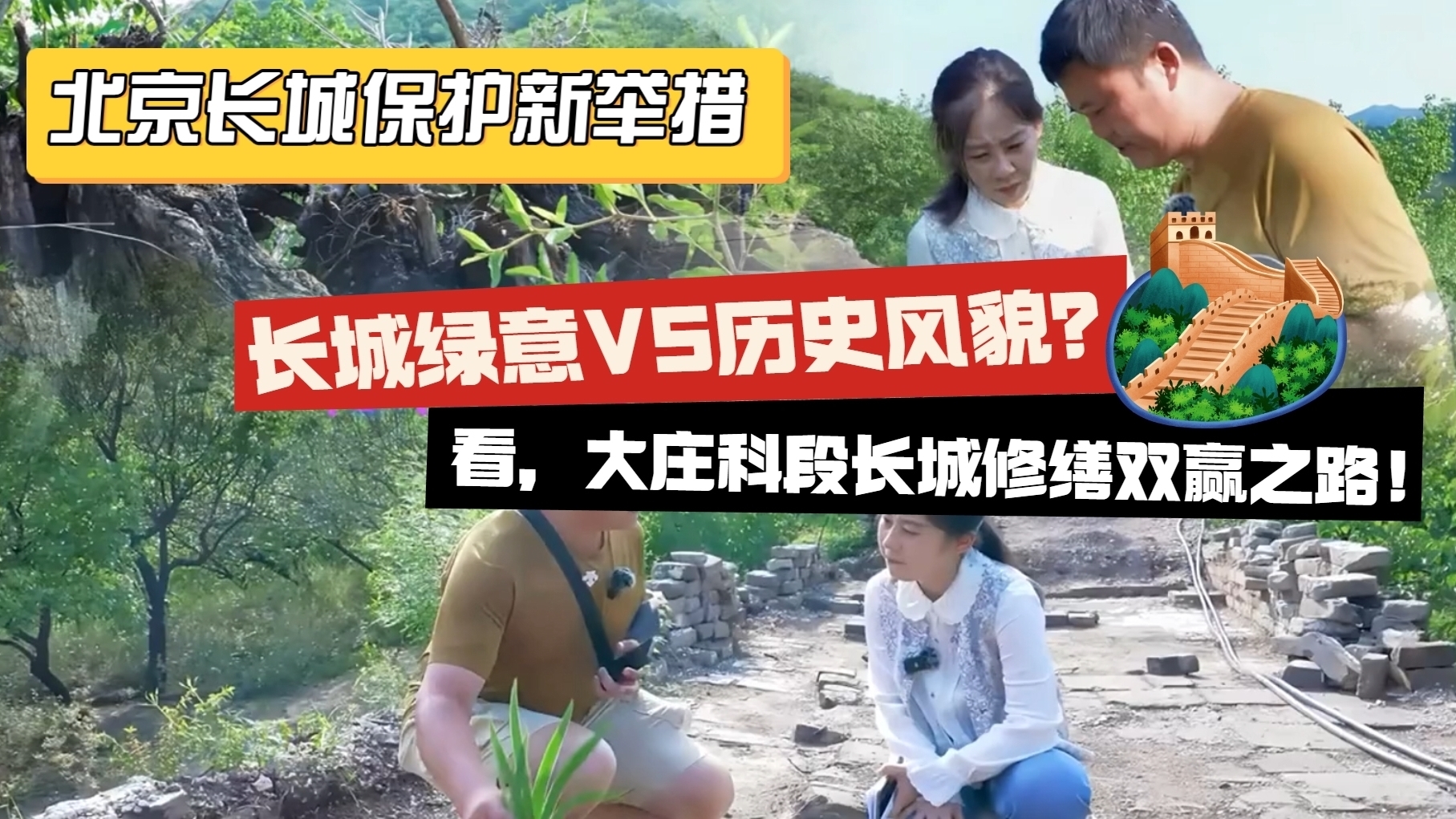 长城绿意VS历史风貌？大庄科修缮揭秘长城保护新密码！