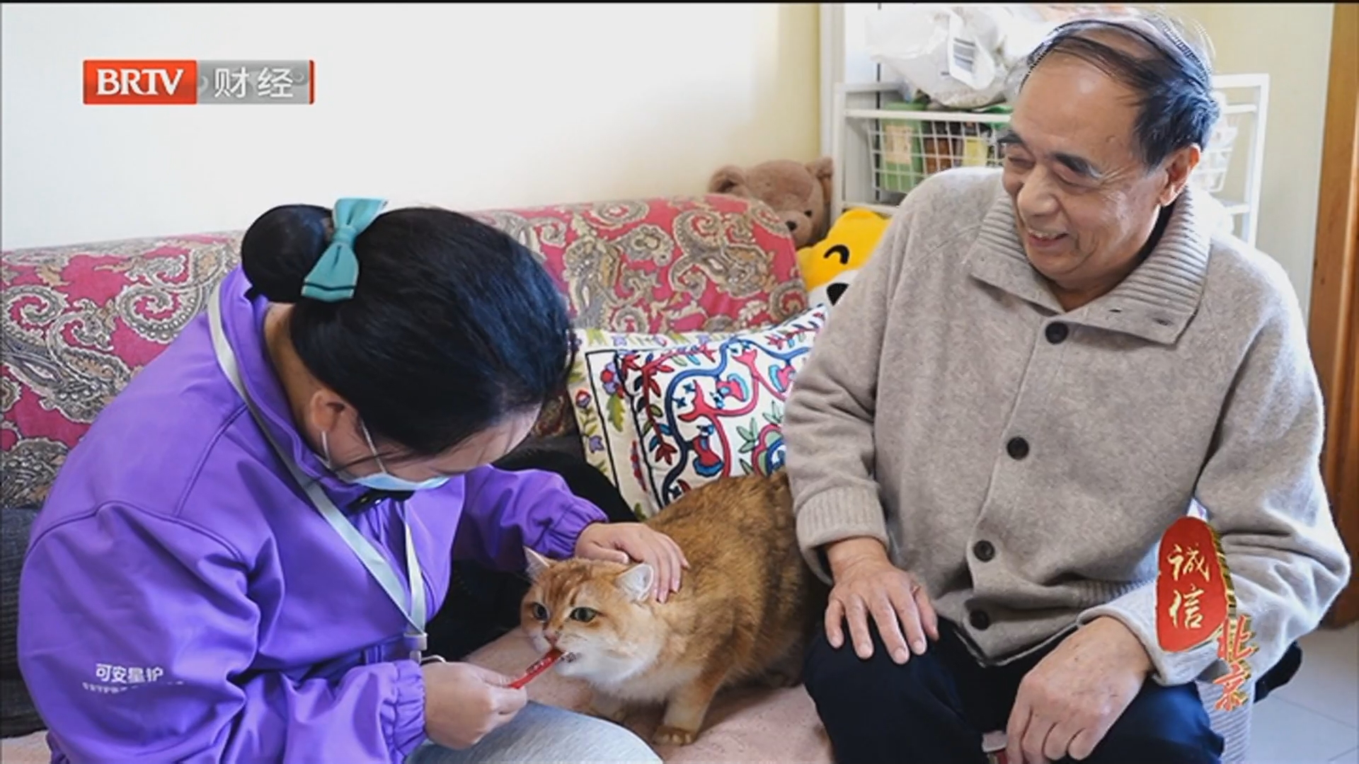 《诚信北京》20251027从陌生到最亲：我在北京 守护你的晚年