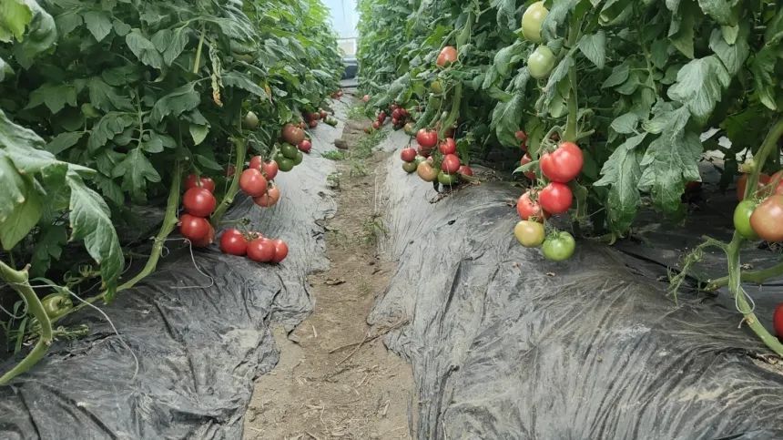 ​房山区斩获10项奖项！它们是——