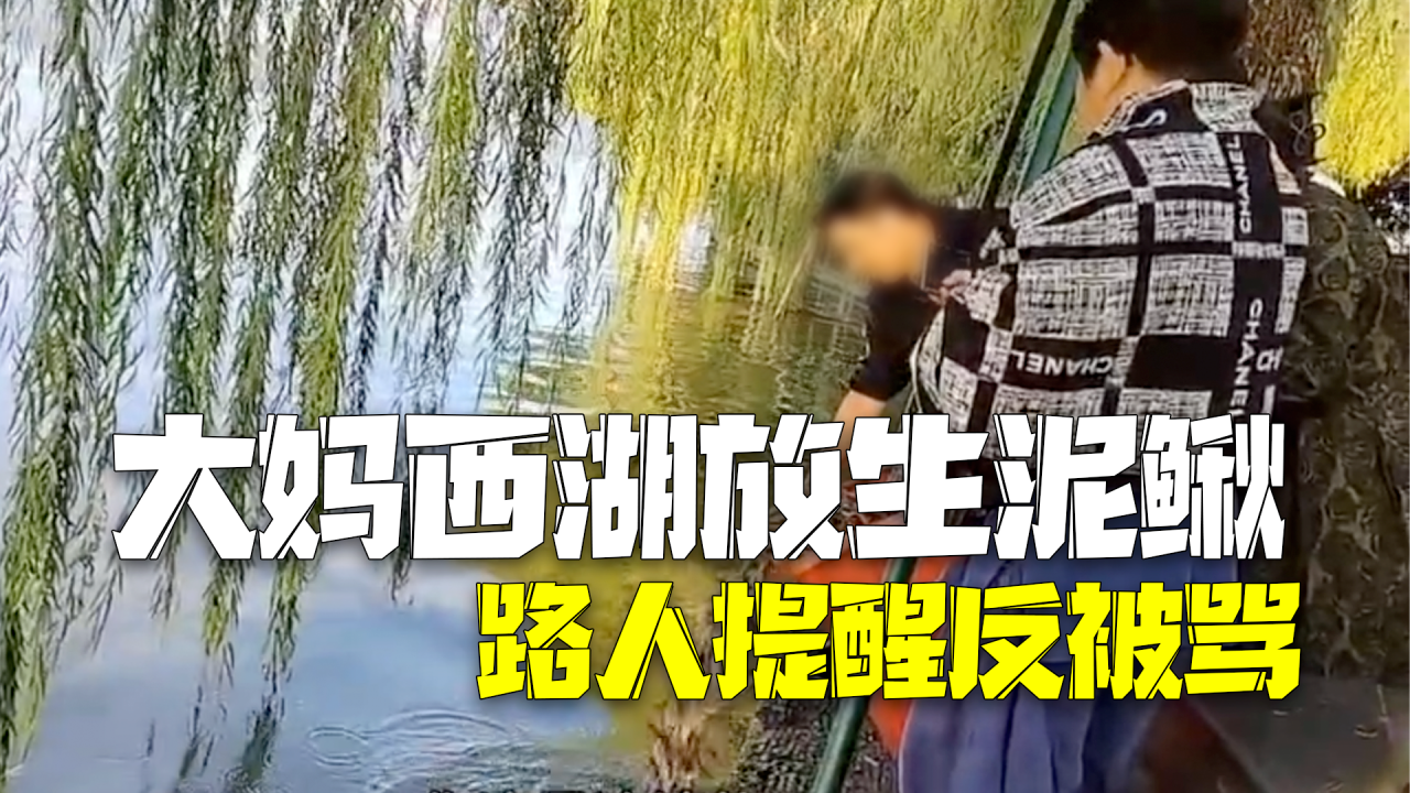 大妈西湖边放生大桶泥鳅路人提醒反被骂 景区：禁止放生！