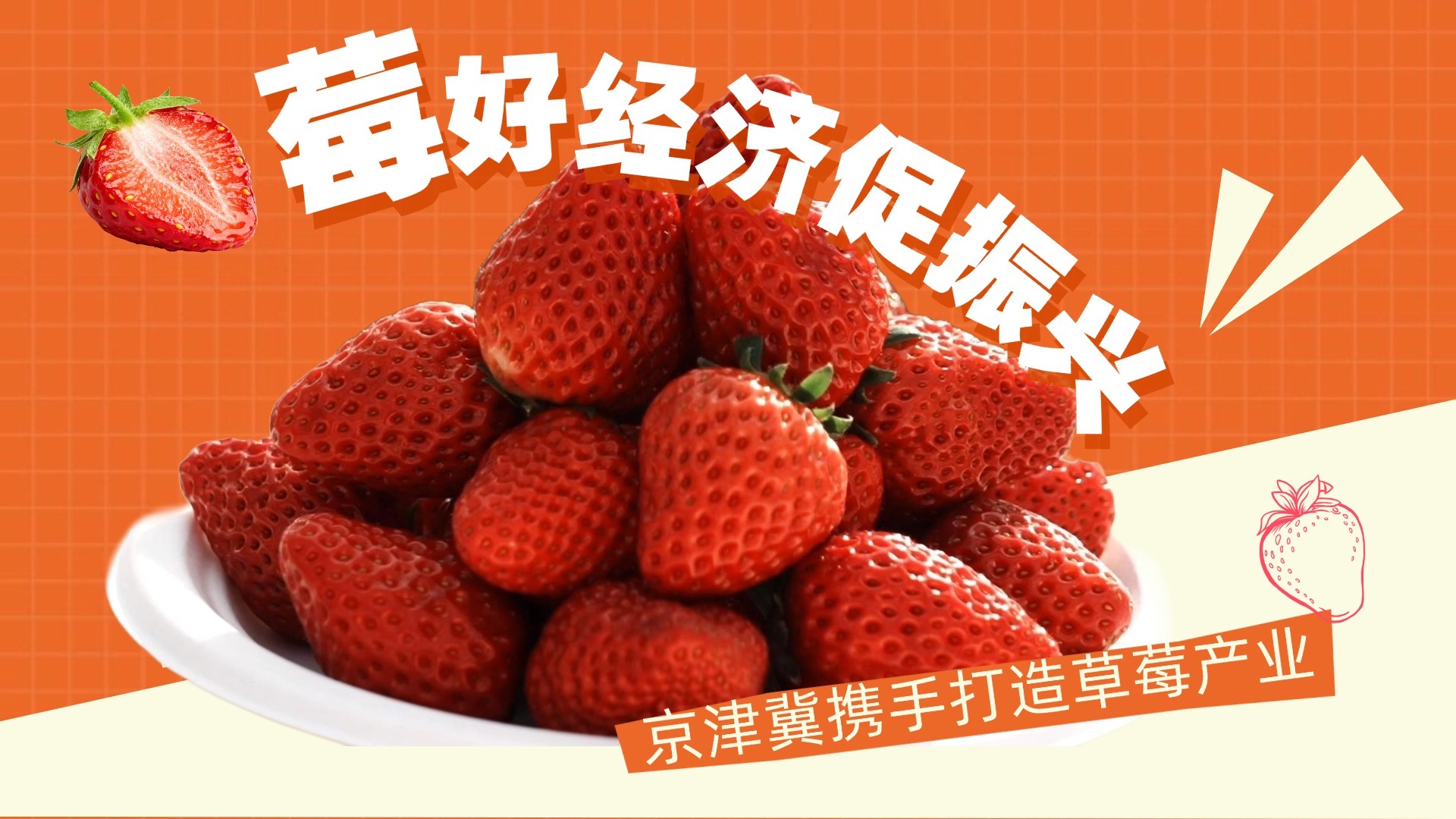 “莓”好经济促振兴 京津冀携手打造草莓产业 “莓”好经济促振兴 京津冀携手打造草莓产业