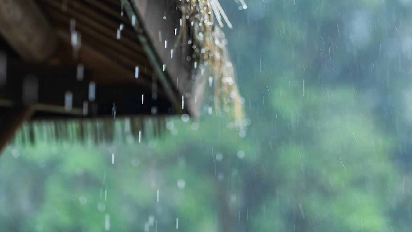 北京24小时平均降水量55.3毫米，已达暴雨量级