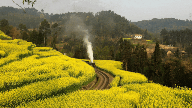 线路上新!最是一年春好处?烟花三月下扬州、泰州、徽州、漳州…… 线路上新!最是一年春好处?烟花三月下扬州、泰州、徽州、漳州……