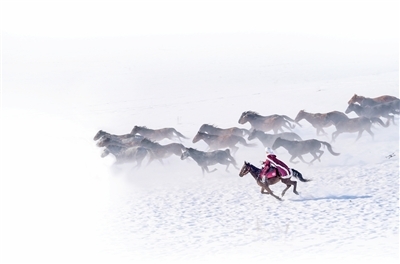 致敬！贺娇龙事迹写入新疆政府工作报告