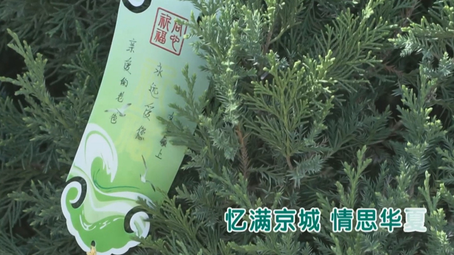北京举办生态葬清明公祭活动 全市已生态化安葬逝者5万余名