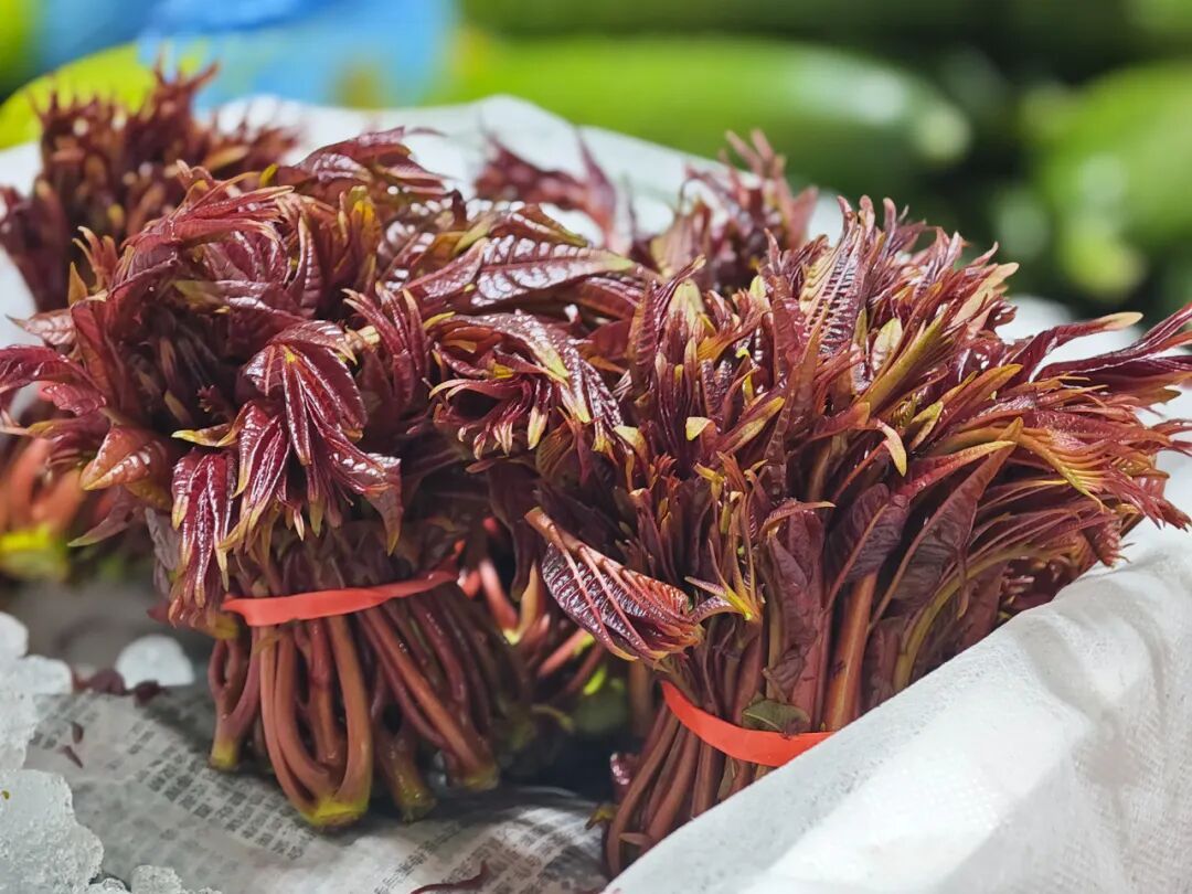 营养师分析了20多种春菜，最推荐这7种