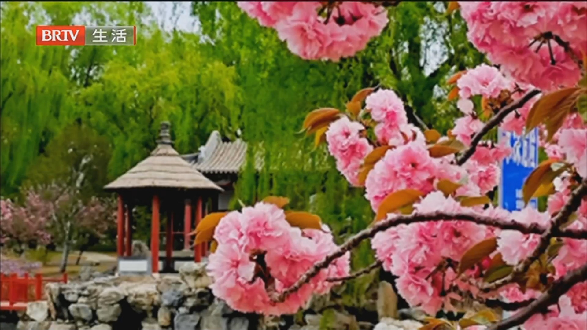 《生活这一刻》20260416 《生活这一刻》20260416