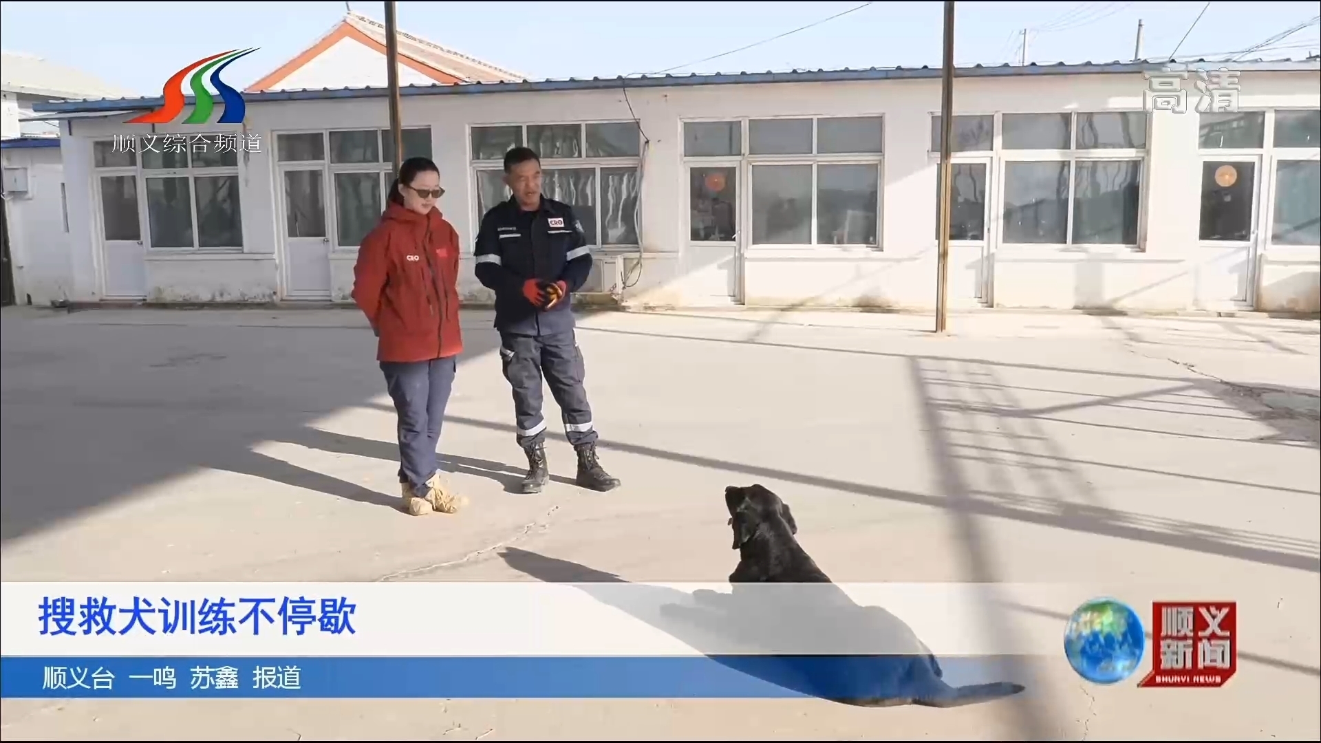 北京顺义 搜救犬训练不停歇