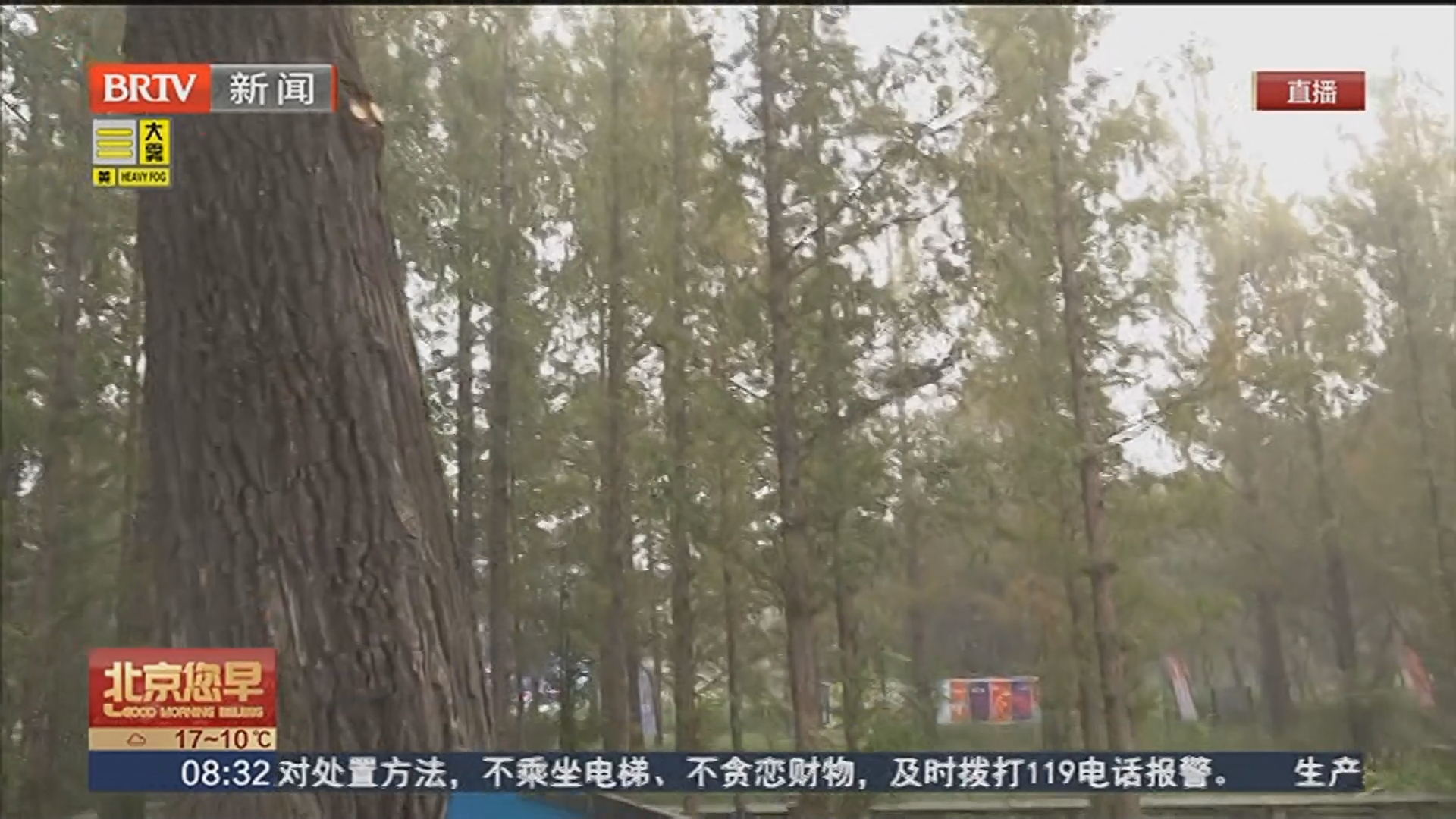 相约国家植物园南园 中国科学院第七届科学节周末两天举办 相约国家植物园南园 中国科学院第七届科学节周末两天举办