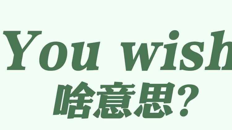 国防部说的“You wish”,是什么意思? 国防部说的“You wish”,是什么意思?