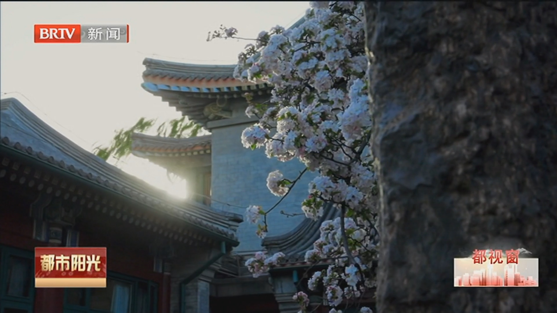 《都市阳光》20260421