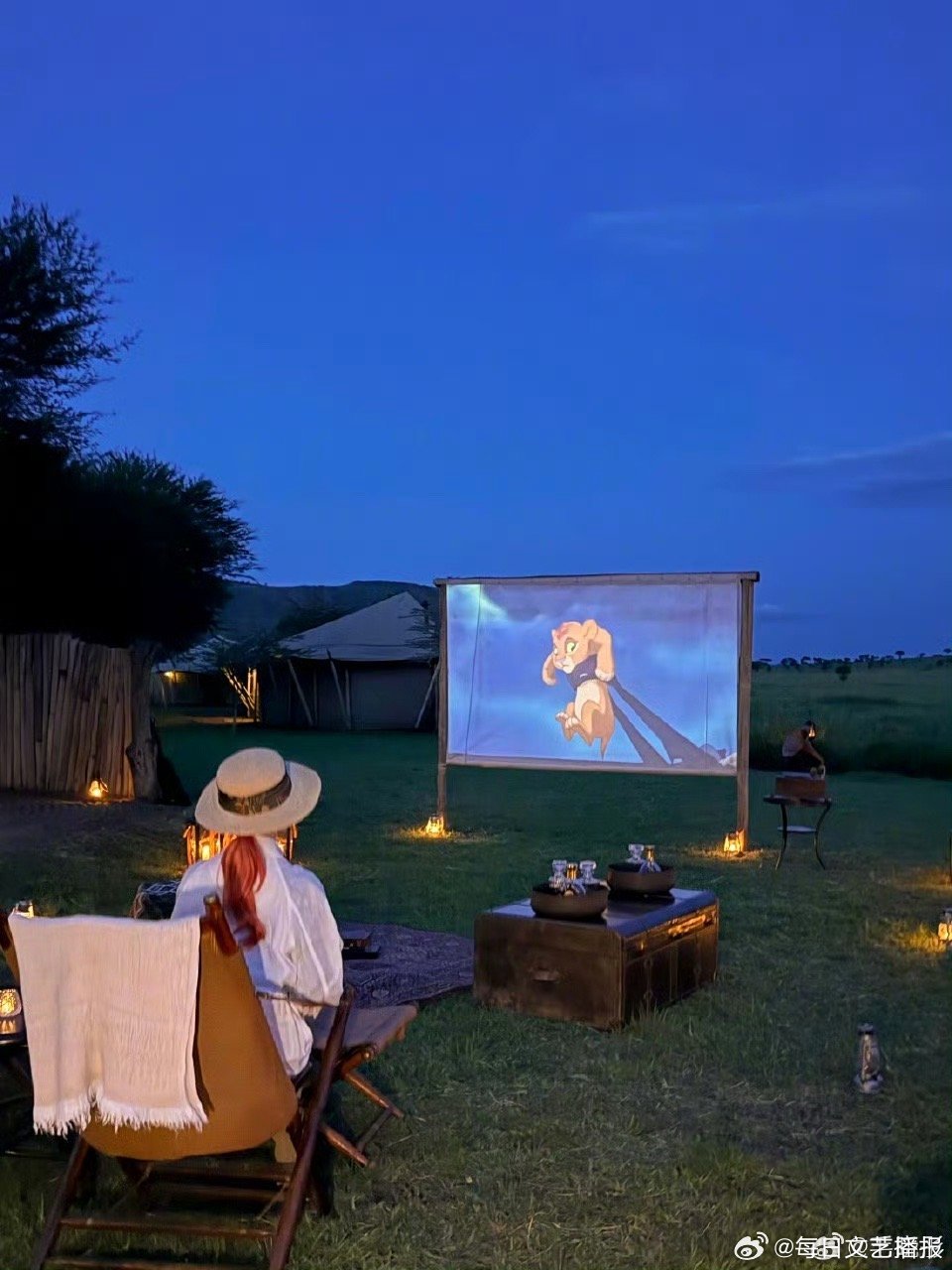 毛晓彤去了坦桑尼亚看狮子