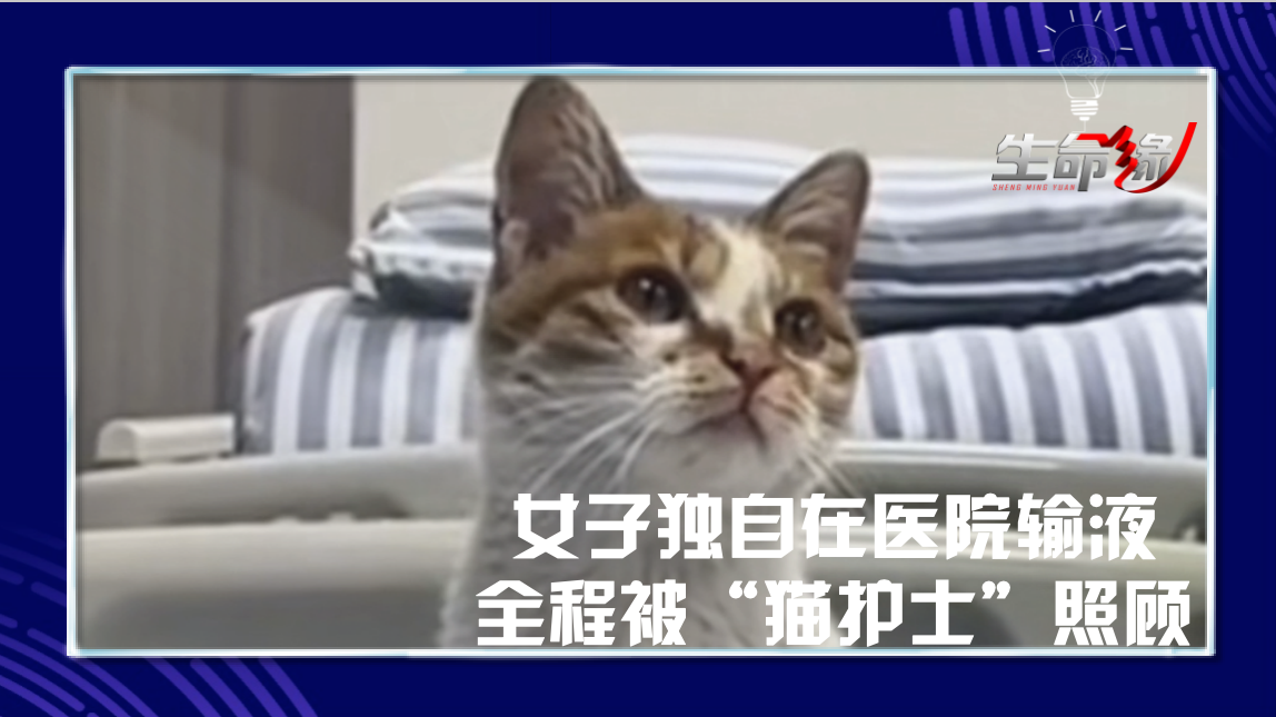 女子独自在医院输液，全程被“猫护士”照顾