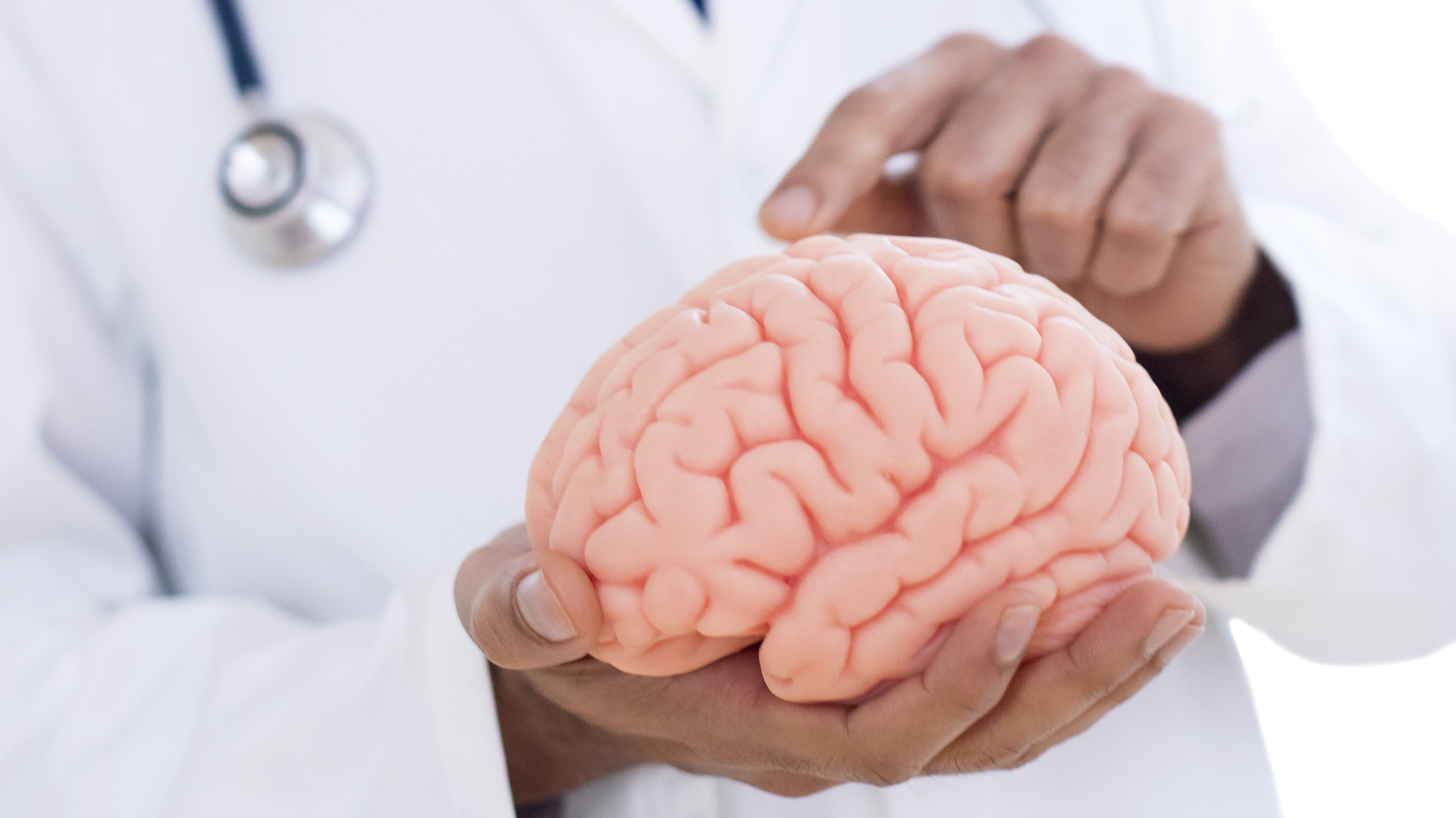 人为何能“举一反三”？我国科研团队找到“神经依据”