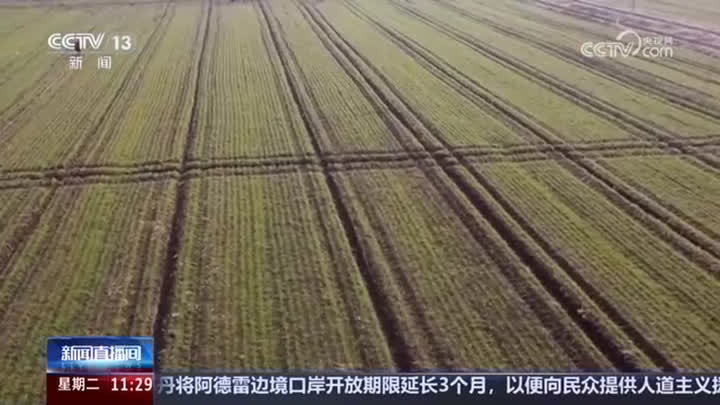 央视点赞：农技人员“把脉问诊” 助力春耕春管