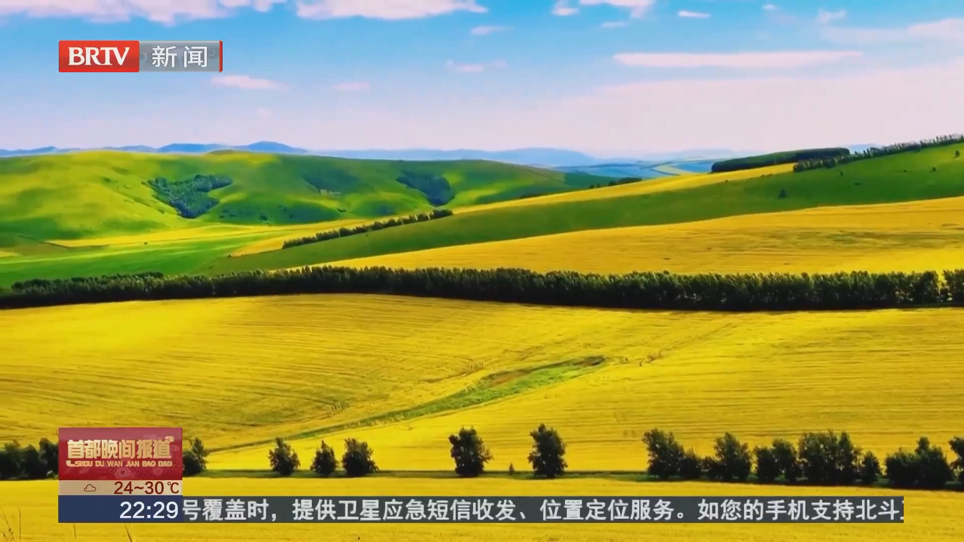 额尔古纳市：油菜花绽放