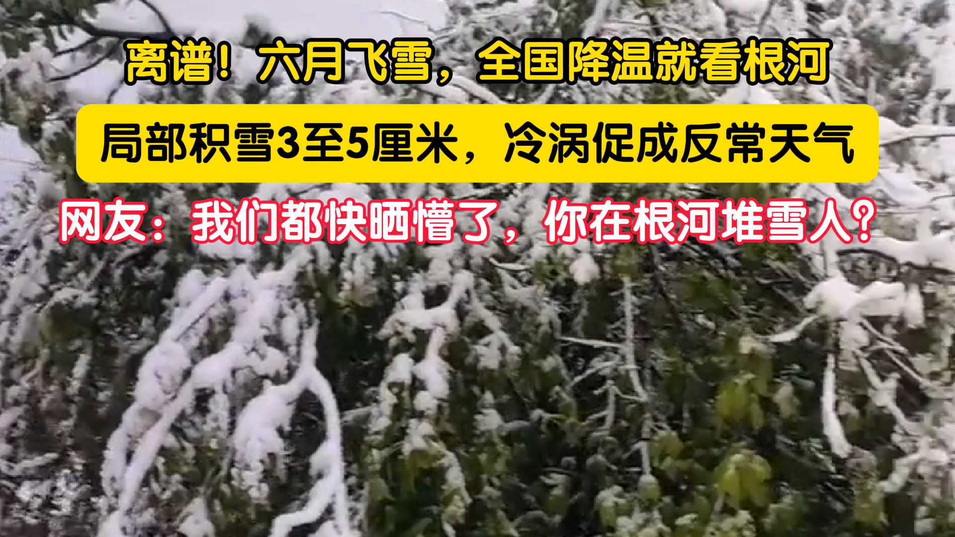 给全国降个温——内蒙古根河六月飞雪