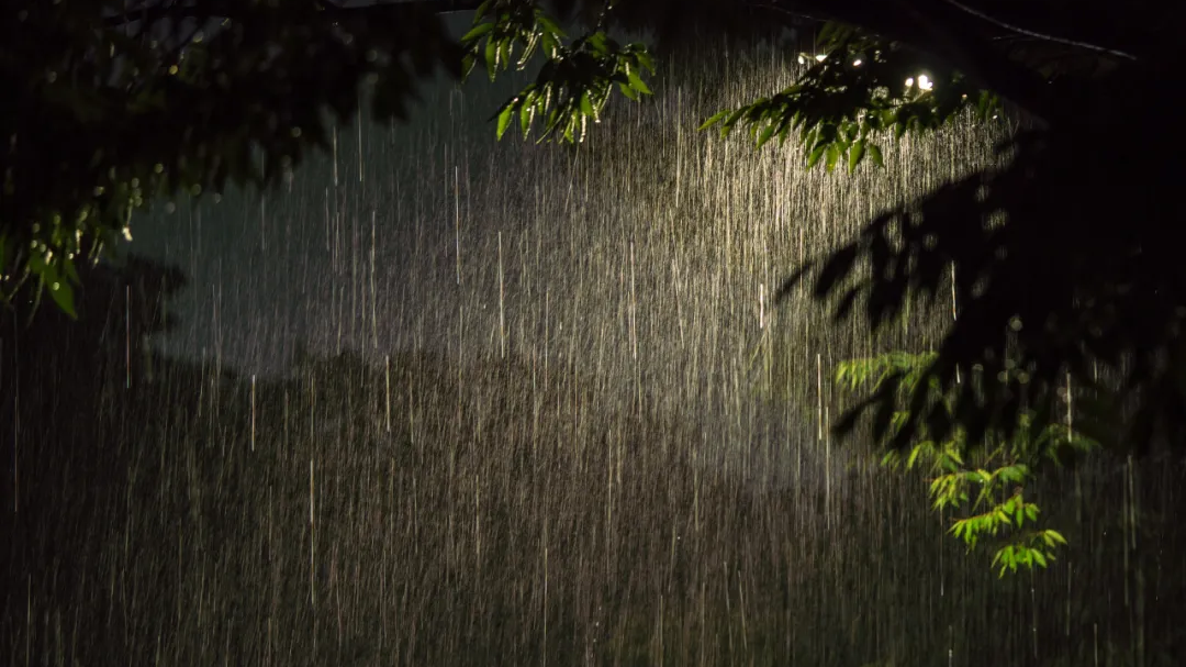 暴雨如此频繁，极端天气是否成“新常态”？专家回应