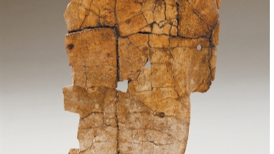 大辛庄遗址,有博物馆了! 大辛庄遗址,有博物馆了!