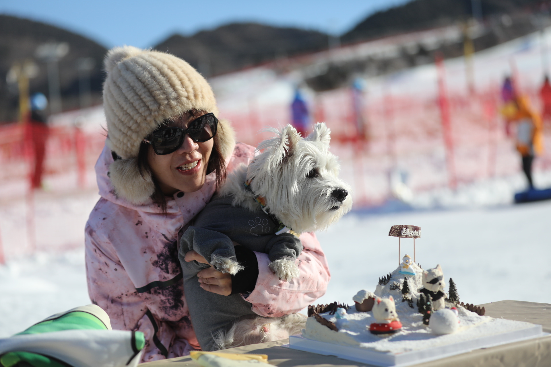 带着狗狗去平谷滑雪!首家宠物滑雪公园开园 带着狗狗去平谷滑雪!首家宠物滑雪公园开园